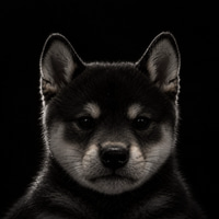 Inu