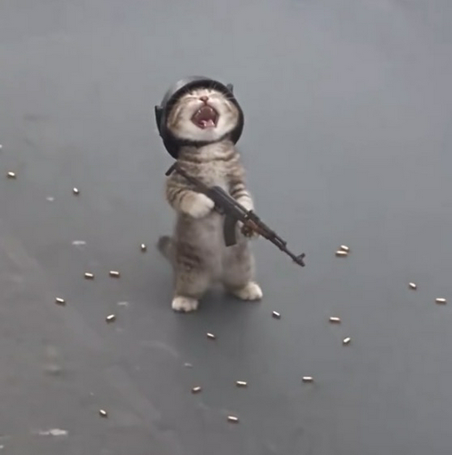 LOOTCAT
